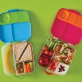 b.box Lunchbox, Indigo Rose