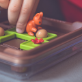 Smart Games Wiewiórki Atakują! - gry logiczne dla dzieci 6+ IUVI Games(PL)