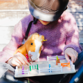 Smart Games Akademia Jazdy Konnej - gry logiczne dla dzieci 7+ IUVI Games (PL)