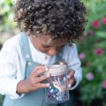 Little Dutch Słoik na owady Forest Friends FSC