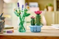 LEGO® BOTANICALS 11509 Kwitnący kaktus