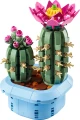 LEGO® BOTANICALS 11509 Kwitnący kaktus