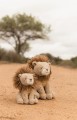 Little Dutch Przytulanka Lew 25cm Safari Friends GRS