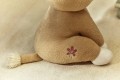 Little Dutch Przytulanka Lwica 25cm Safari Friends GRS